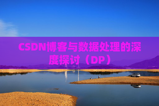 CSDN博客与数据处理的深度探讨（DP）
